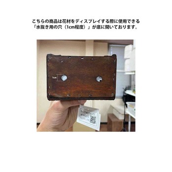 木製トランクボックス ブラウン 33-19-3シリーズ アズワン