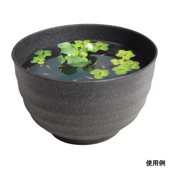 メダカの雅小鉢 スドー