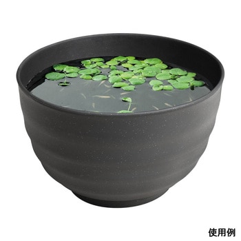 メダカの雅小鉢 スドー