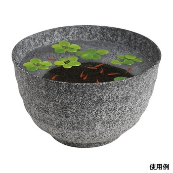 メダカの雅小鉢 スドー
