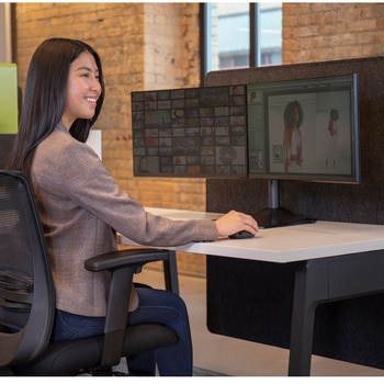 エルゴトロン DS100 モニタースタンド デスクスタンド デュアル 横型 2画面 ブラック 24インチ(28kg)まで VESA規格対応 ERGOTRON(エルゴトロン)
