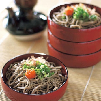 出雲たかはし 出雲そば8食セット 麺匠出雲たかはし