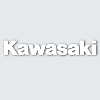 ビッグダイカットステッカー KAWASAKI(カワサキ) FACTORY EFFEX(ファクトリーエフェックス)