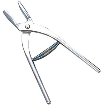 スタンダード ギンナン割 1個 ノーブランド 【通販モノタロウ】