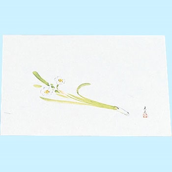 四季紙 萬寿(100枚入) マイン