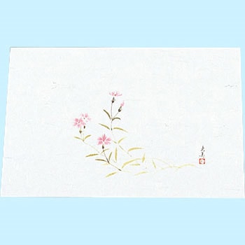 四季紙 萬寿(100枚入) マイン
