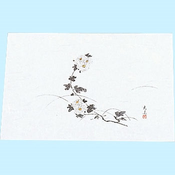 四季紙 萬寿(100枚入) マイン
