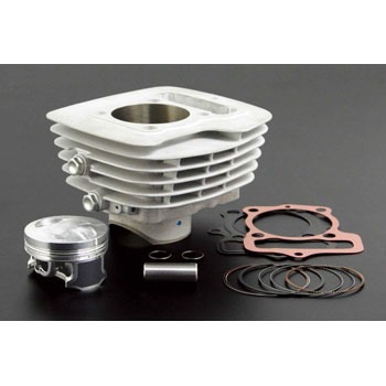 01-04-1011 �r�b�O�t�B���V�����_�[�L�b�g 115/124cc TAKEGAWA(����) 04969107