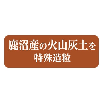 メダカ水景 ろ過する赤玉土 ジェックス