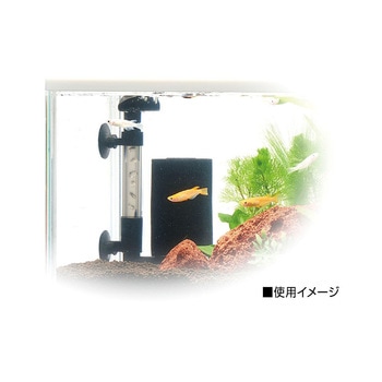 メダカ元気 メダカを育てるフィルター ジェックス