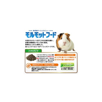 モルモットフード 日本ペットフード