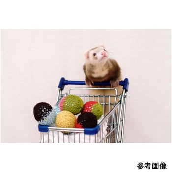 ふぇれたまご レジェンドホールディングス
