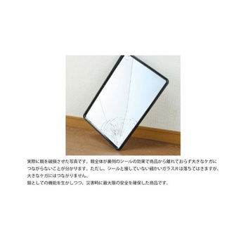 吊り下げ型ミラー 飛散防止 EA724YGシリーズ エスコ