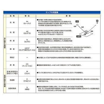 直管形LEDランプ 昼光色 EA758XAシリーズ エスコ
