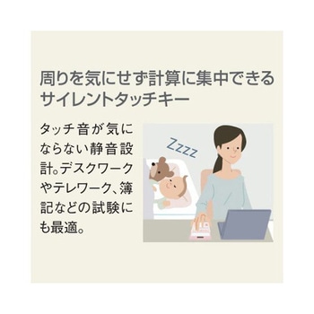 計算機 EA761GAシリーズ - エスコ