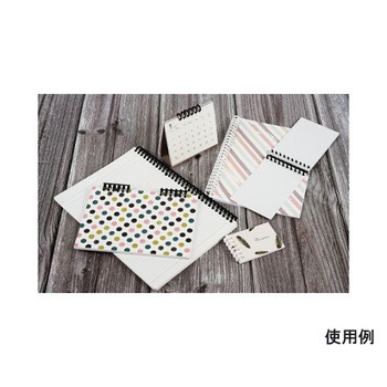 A4 ルーズリング EA762CAシリーズ エスコ