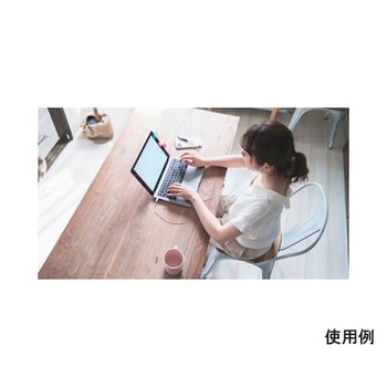 1.2m テレワーク用イヤホン EA763BCシリーズ エスコ