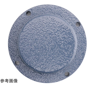 ピローブロック 貫通・密閉型鋳鉄カバー付き 無給油形 UCIPシリーズ FYH(日本ピローブロック)