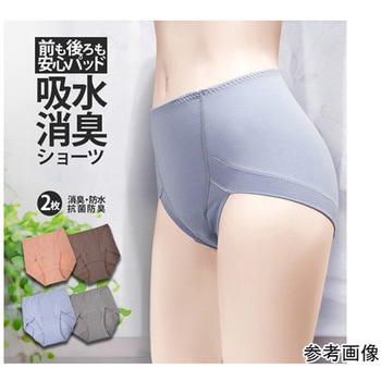 スタイルセレブリティ 吸水消臭綿混ショーツ ブルーセット2色組 TJI-679シリーズ 辻一