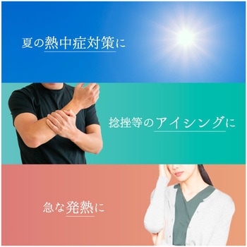 氷のう ベルト付き 1ケース 10個入 T-IBSシリーズ TOBIEMON