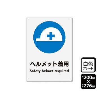 プレート ヘルメット着用 1袋 2枚入 KTKシリーズ KALBAS