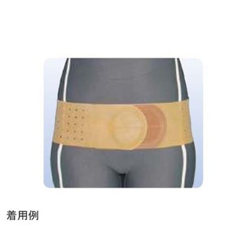 丸型骨盤バンド ブラウン アシスト