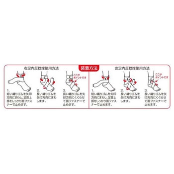 アンクルサポート アシスト