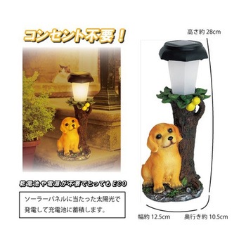 森の仲間たち WJシリーズ ウィキャン