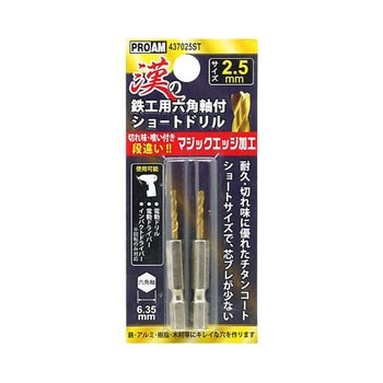 漢の鉄工ショートドリル アズワン