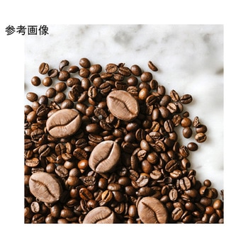 グラマンド GGシリーズ pavoni