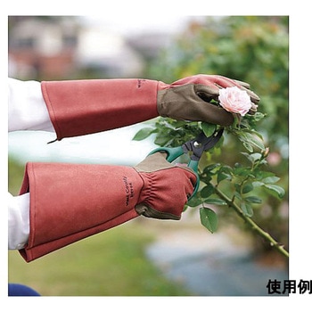 WEST COUNTY Rose ルビー 431シリーズ トワロン(TOWA/東和コーポレーション)