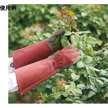 WEST COUNTY Rose ルビー 431シリーズ トワロン(TOWA/東和コーポレーション)