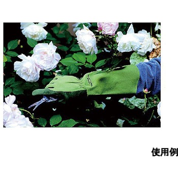 WEST COUNTY Rose モス 432シリーズ トワロン(TOWA/東和コーポレーション)