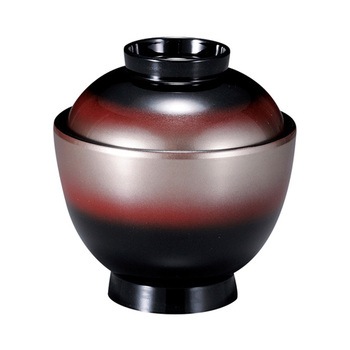 31006140 �ϔM3.2�� �ʎq�o ����N���t�g 05199656