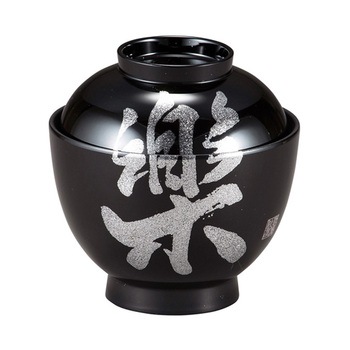 30046160 �ϔM3.2�� �ʎq�o ����N���t�g 05199690