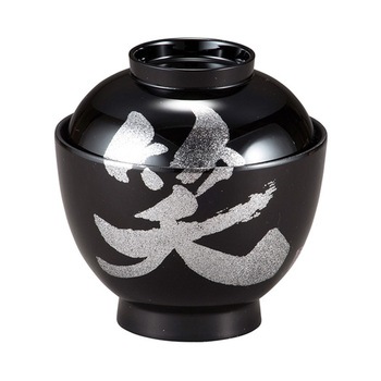 30046180 �ϔM3.2�� �ʎq�o ����N���t�g 05199708