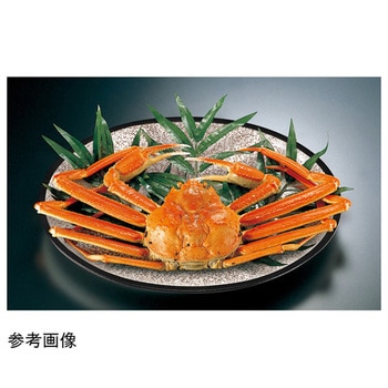 小判深盛皿 福井クラフト