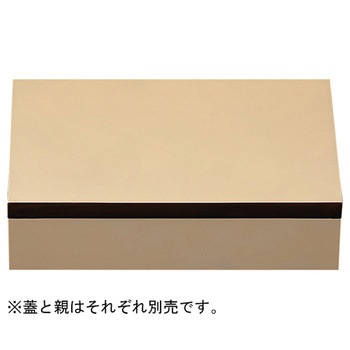 20001060 8.5�� ����ʎ�d �e ����N���t�g 05248218