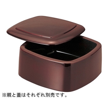 50261390 O炵 e Ntg 05254046