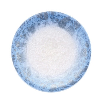 A150寿司皿 アクア - 福井クラフト