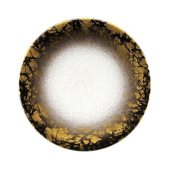 13000160 A150iM ANA Ntg 05256189