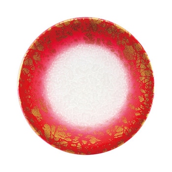 13000161 A150iM ANA Ntg 05256198