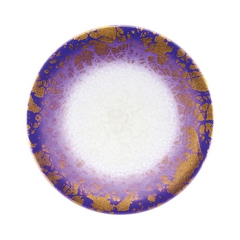 13000162 A150iM ANA Ntg 05256207