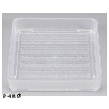 91021510 pM Ntg 05260091