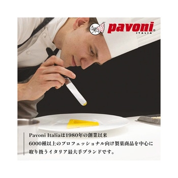 グラマンド 300×200mm GGシリーズ pavoni