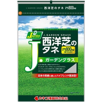 【タネ】西洋芝のタネ Jガーデングラス J.garden