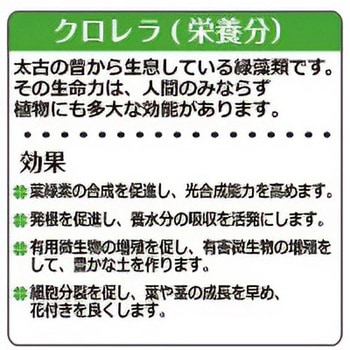 クロレラの恵みR 多肉とサボテン土 Richell(リッチェル)