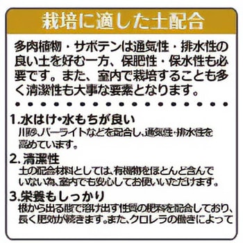 クロレラの恵みR 多肉とサボテン土 Richell(リッチェル)