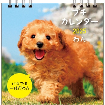 【S1】 2025 わん プチカレンダー 永岡書店