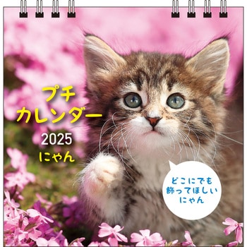 【S2】 2025 にゃん プチカレンダー 永岡書店